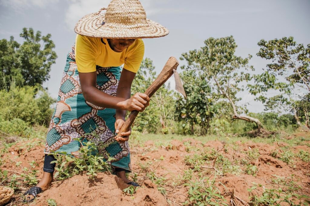 countryside woman working field